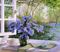 Bluebells on the Windowsill